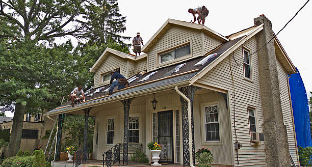 Best Residential Roof Replacement  in Rogers, MN